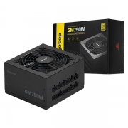 🎁런칭핫딜 / 무료택배🎁[Segotep] GM750W 80PLUS GOLD 풀모듈러 ATX 3.1 (PCIE5.1) 블랙 (ATX/750W)
